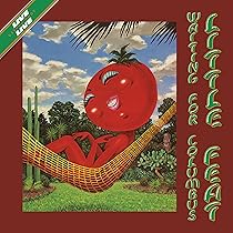 Little Feat Sailin' Shoes レコード新品未使用 Little Feat リトル・フィート / Sailin' Shoes セイリン